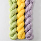 Valiant Grapes, Island Sun, and Spring Green - Miss Babs Yowza Mini Trio