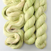 Wandflower - Miss Babs Tarte wool blend sock yarn