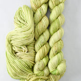 Wandflower - Miss Babs Yowza Mini superwash Merino wool yarn