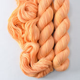 Whitsunday - Miss Babs Putnam Merino wool and nylon sock yarn