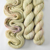 Wildcraft - Miss Babs Estrellita yarn