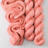 Wild Tulip - Miss Babs Yet yarn