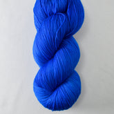 Wishing Well - Miss Babs Katahdin yarn