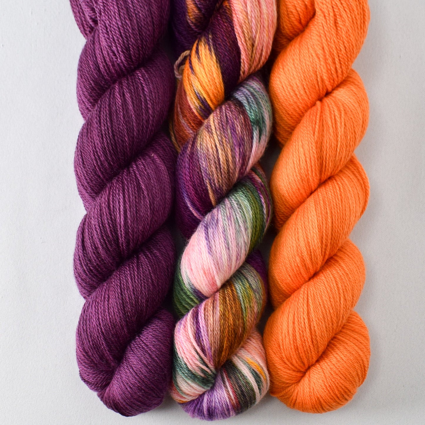 Wolfsbane, Charmed, and Zest - Miss Babs Caroline Trio