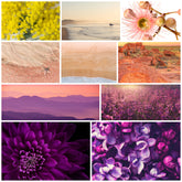 Festive Yarn Set 2022 - Ambah's Set - READY TO SHIP