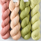 Abiquiu, Lacewing, Muslin, Snakehead - Miss Babs Yummy 2-Ply Quartet