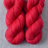 Almaak - Miss Babs Yummy 2-Ply Toes superwash Merino wool yarn