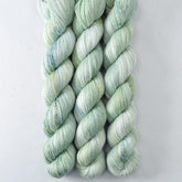 Aloe Vera - Miss Babs Yet yarn