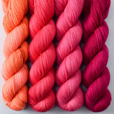 Ambrosia, Almaak, Sweet Pea, Dark Cassiopeia - Miss Babs Yummy 2-Ply Quartet