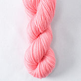 Andean Flamingo - Miss Babs Yummy 2-Ply Toes superwash Merino wool yarn