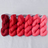 Andromeda - Gradient Set