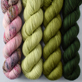 Apple Season, Frog Belly, Thyme, Nori - Miss Babs Yummy 2-Ply Quartet