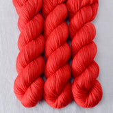 Ardor - Miss Babs Yummy 2-Ply superwash Merino wool yarn