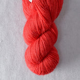 Ardor - Miss Babs Yummy 2-Ply Toes superwash Merino wool yarn