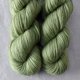 Arya - Miss Babs Yummy 2-Ply Toes superwash Merino wool yarn