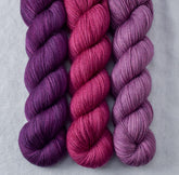 Aubergine, Fig, Spiked Punch - Miss Babs Yummy 2-Ply Trio