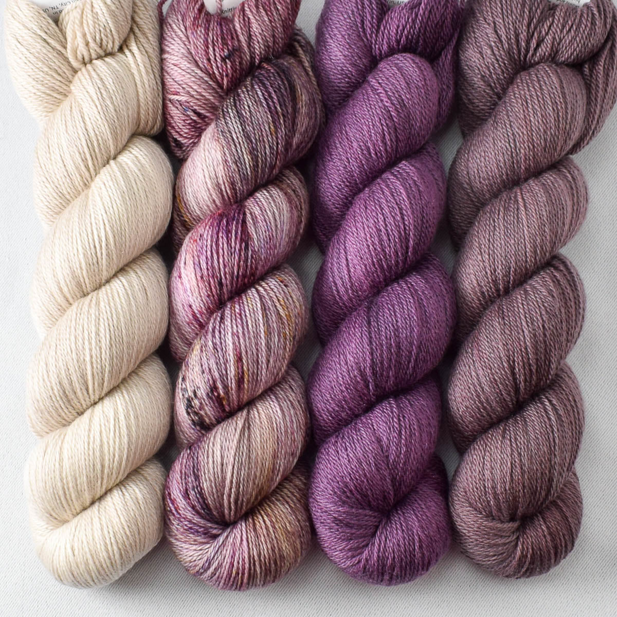 Autumn Toad Lily, Black Salt, Coastal Fog, Tulipa - Miss Babs Caroline Quartet