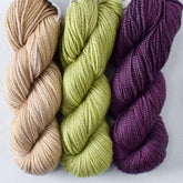 Backsplash Set: Tulipa, Snakehead, Sand Dollar - Miss Babs Toe Trio
