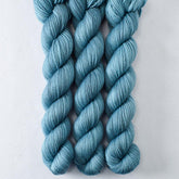 Beach Bag - Miss Babs Yowza Mini superwash Merino wool yarn