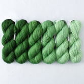 Beanstalk - Gradient Set