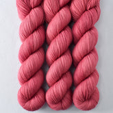 Bearberry - Miss Babs Yummy 2-Ply superwash Merino wool yarn