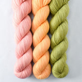 Beauty Awaits, Coreopsis, Fiddlehead - Miss Babs Yummy 2-Ply Trio