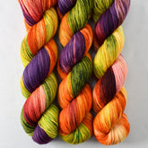 Birthday Gift - Miss Babs Putnam Merino wool and nylon sock yarn