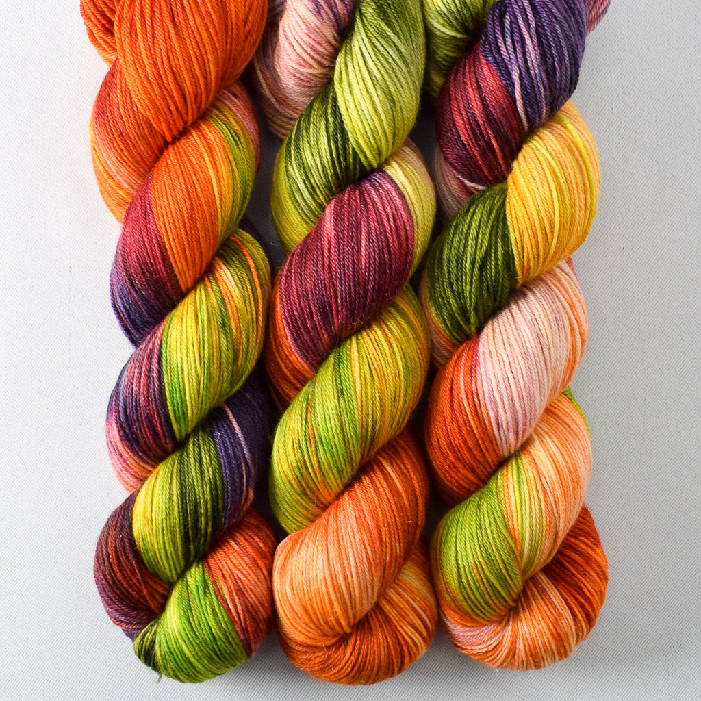 Birthday Gift - Miss Babs Tarte wool blend sock yarn