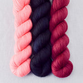 Blackbird, Canis Major, Dahlia - Miss Babs Yummy 2-Ply Trio