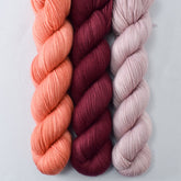 Black Cherry, Bullfinch, Softly - Miss Babs Yummy 2-Ply Trio