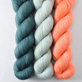 Blackwatch, Palm Valley, Spicy Papaya - Miss Babs Avon Trio