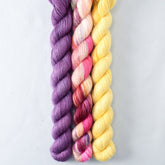 Bloomin Pansies, Spiked Punch, Sunny - Miss Babs Sojourn Trio