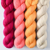 Blossom - Miss Babs Yummy 2-Ply Quartet