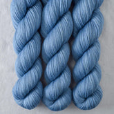 Blueberries - Miss Babs Tarte wool blend sock yarn