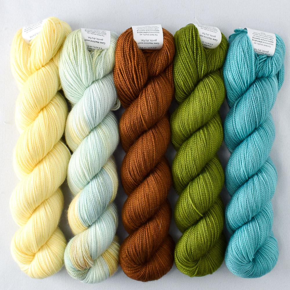 Blue Parakeet, Dragon Claw, Dark Roast, Mantis, Walking on Sunshine - Miss Babs Shawlography Set