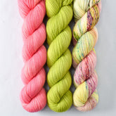 Bottle Ring, Exuberance, Ghoulish - Miss Babs Yummy 2-Ply Trio