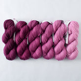 Bougainvillea - Gradient Set