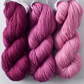 Bougainvillea, Sanderiana, Espinosa - Miss Babs Toe Trio