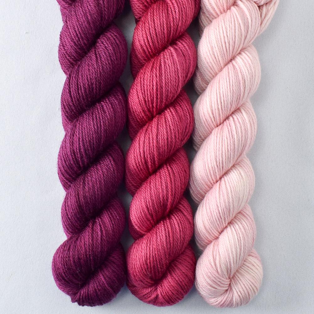 Bougainvillea, Sugar, Zinfadel - Miss Babs Yowza Mini Trio