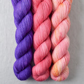 Boutonniere, Hissy Fit, Light Up My Life - Miss Babs Yummy 2-Ply Trio
