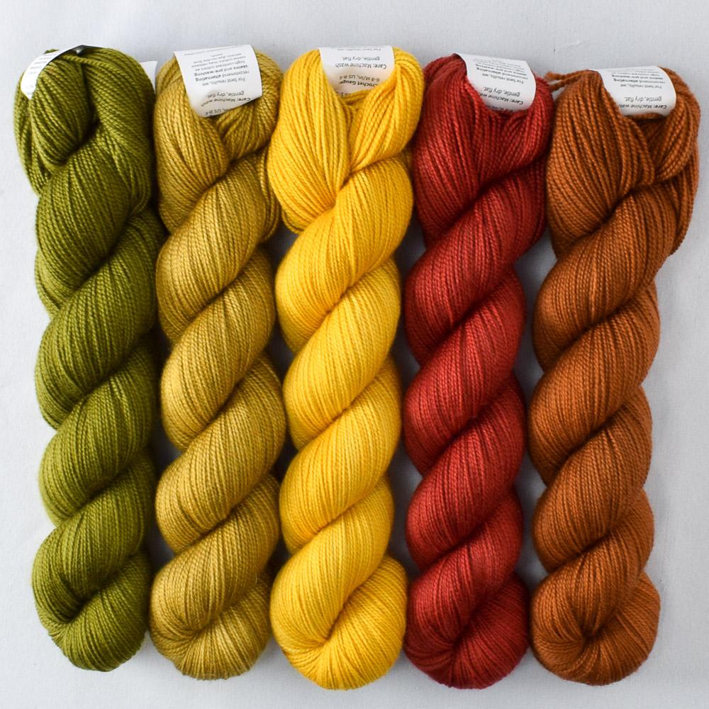 Box Turtle, Goldenrod, Moss, Roasted Pumpkin, Turkey Red - Miss Babs Shawlography Set