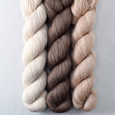 Bruin, Glaciology, Parchment - Caroline Trio - Babette