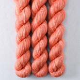 Bullfinch - Miss Babs Yowza Mini superwash Merino wool yarn