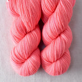 Cara Cara - Miss Babs Yummy 2-Ply Toes superwash Merino wool yarn
