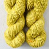 Cardamon - Miss Babs Yummy 2-Ply Toes superwash Merino wool yarn