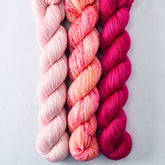Cassiopeia, Spotted Flowers, Sugar - Yowza Mini Trio - Babette