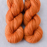 Castor - Miss Babs Yummy 2-Ply Toes superwash Merino wool yarn