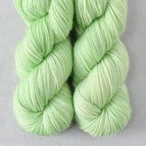 Catnip - Miss Babs Yummy 2-Ply Toes superwash Merino wool yarn
