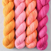 Cat's Meow, Dancing Spirit, Hot to Trot, Month of Sundays - Miss Babs Yummy 2-Ply Quartet