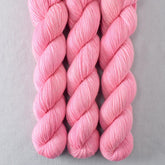 Cat's Meow - Miss Babs Estrellita fingering weight superwash merino and Lurex yarn